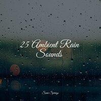 25 Pure Rain Sounds