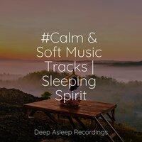#Calm & Soft Music Tracks | Sleeping Spirit