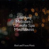 Soothing Melodies | Ultimate Spa Mindfulness