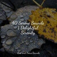 40 Serene Sounds | Delightful Serenity