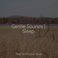 Gentle Sounds | Sleep