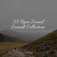 25 Rain Sound Sounds Collection