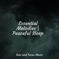 Essential Melodies | Peaceful Sleep