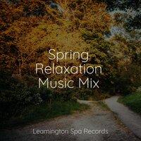 Spring Relaxation Music Mix
