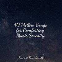 40 Mellow Songs for Comforting Music Serenity