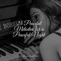 25 Peaceful Melodies for a Peaceful Night