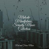 Melodic Mindfulness, Serenity Music Collection