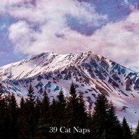 39 Cat Naps