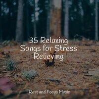 35 Relaxing Songs for Stress Relieving