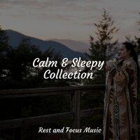 Calm & Sleepy Collection