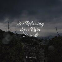25 Calming Rain Sounds for Sleep and Serenity