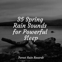 35 Spring Rain Sounds for Powerful Sleep