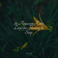 25 Amazing Rain Loops for Healing & Sleep