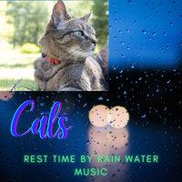 Cats: Rest Time By Rain Water Music