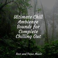 Ultimate Chill Ambience Sounds for Complete Chilling Out