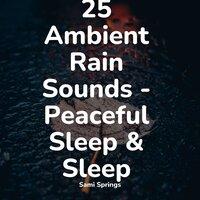 25 Ambient Rain Sounds - Peaceful Sleep & Sleep