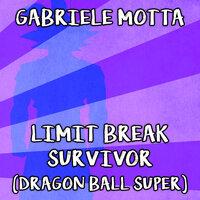 Limit Break / Survivor