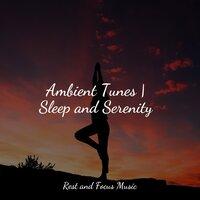 Ambient Tunes | Sleep and Serenity