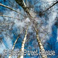 65 Sleeps Sweet Release