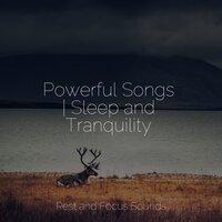 Powerful Songs | Sleep and Tranquility