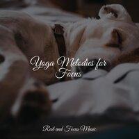Yoga Melodies for Focus