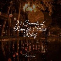 25 Loopable Rain Sounds for Relaxation