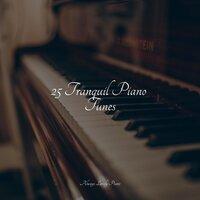 25 Tranquil Piano Tunes