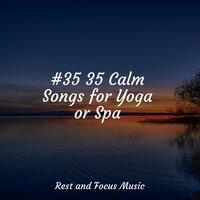 #35 35 Calm Songs for Yoga or Spa