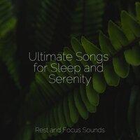 Ultimate Songs for Sleep and Serenity