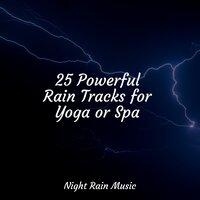 25 Powerful Rain Tracks for Yoga or Spa