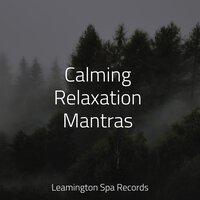 Calming Relaxation Mantras