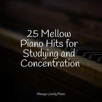25 Mellow Piano Hits for Studying and Concentration