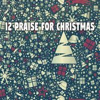 12 Praise For Christmas