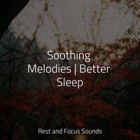 Soothing Melodies | Better Sleep