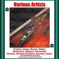 Various Artists: Brahms, Grieg, Mozart, Weber, Beethoven, Wagner, Stravinsky, Thomas, Rimsky-Korsakov, Gounod, Liadov