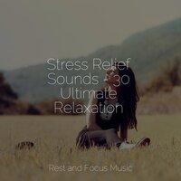 Stress Relief Sounds - 30 Ultimate Relaxation