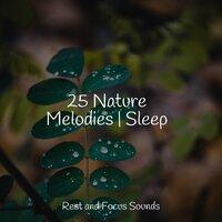 25 Nature Melodies | Sleep