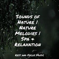 Sounds of Nature | Nature Melodies | Spa & Relaxation