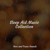 Sleep Aid Music Collection