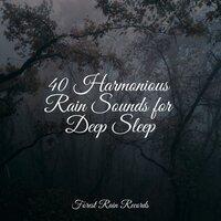 40 Harmonious Rain Sounds for Deep Sleep