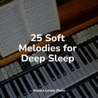 25 Soft Melodies for Deep Sleep