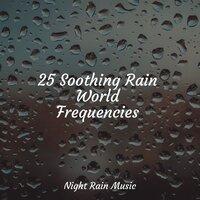 25 Soothing Rain World Frequencies
