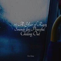 25 A Year of Rain Sounds for Peaceful Chilling Out