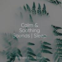 Calm & Soothing Sounds | Sleep