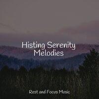 Histing Serenity Melodies