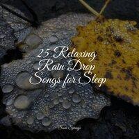 25 Relaxing Rain Drop Songs for Sleep