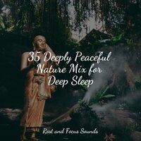 35 Deeply Peaceful Nature Mix for Deep Sleep