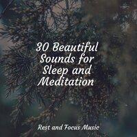 30 Beautiful Sounds for Sleep and Meditation