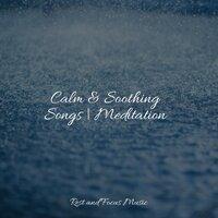 Calm & Soothing Songs | Meditation