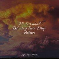 25 Essential Relaxing Rain Drop Album